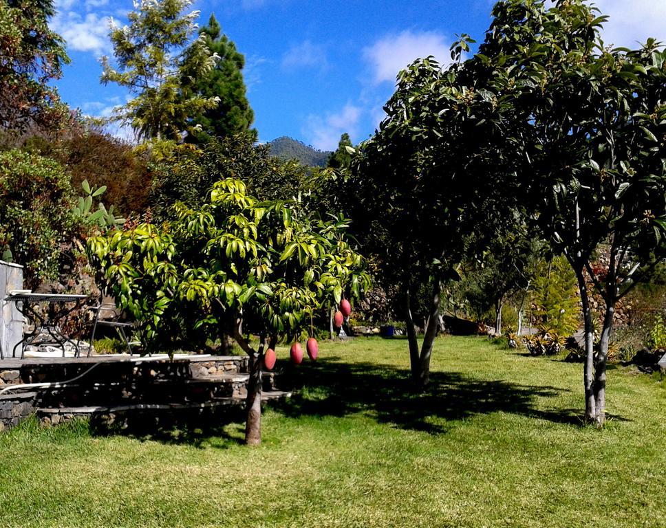 Feriendomizil Finca Tijarafe Mit Beheiztem, Abdeckbarem Pool חדר תמונה